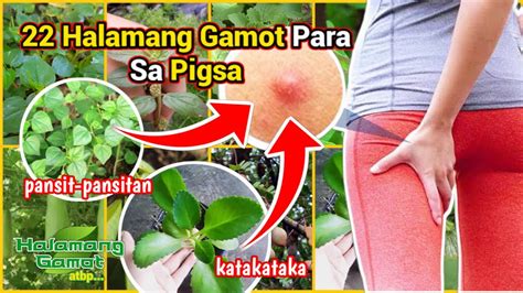 gamot sa matag tiki|Halamang Gamot Sa Pigsa At Iba Pang Natural Na .